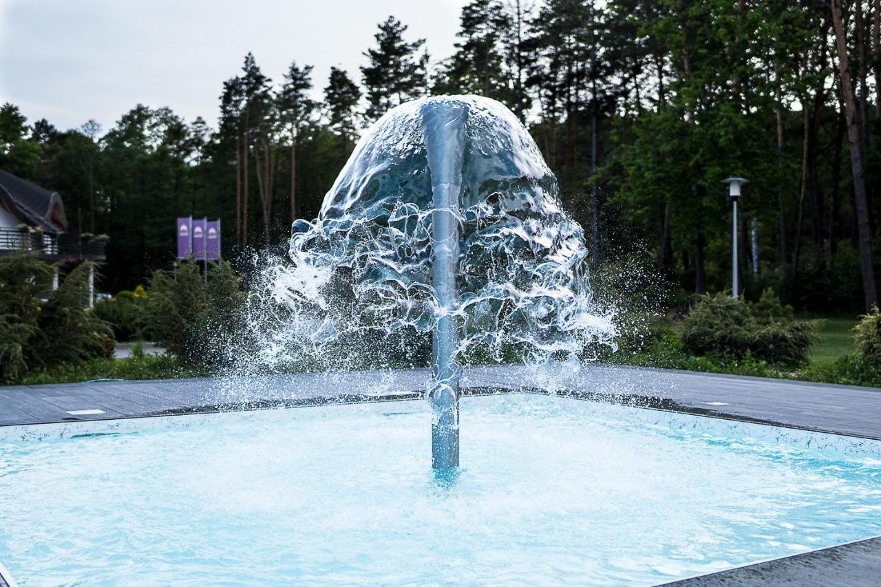 Rezydencja Sosnowa Luxury Hotel Janów Lubelski Buitenkant foto